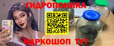 индика Комсомольск-на-Амуре