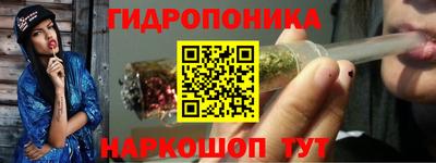 шишки Коммунар