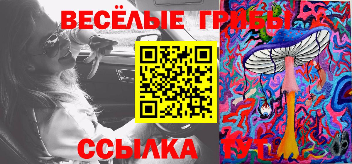Бошки Шишки  Кетамин  Марихуана  Кодеин  Кольчугино  Мефедрон кристаллы  ГАШИШ  МЕТАМФЕТАМИН  Вход с VPN  ГАШИШ  A PVP СК   Кокаин 