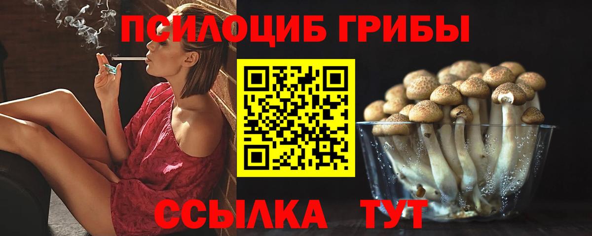 Галлюциногенные грибы ЛСД  Вход с VPN  Галлюциногенные грибы мухоморы  наркошоп  Кольчугино 